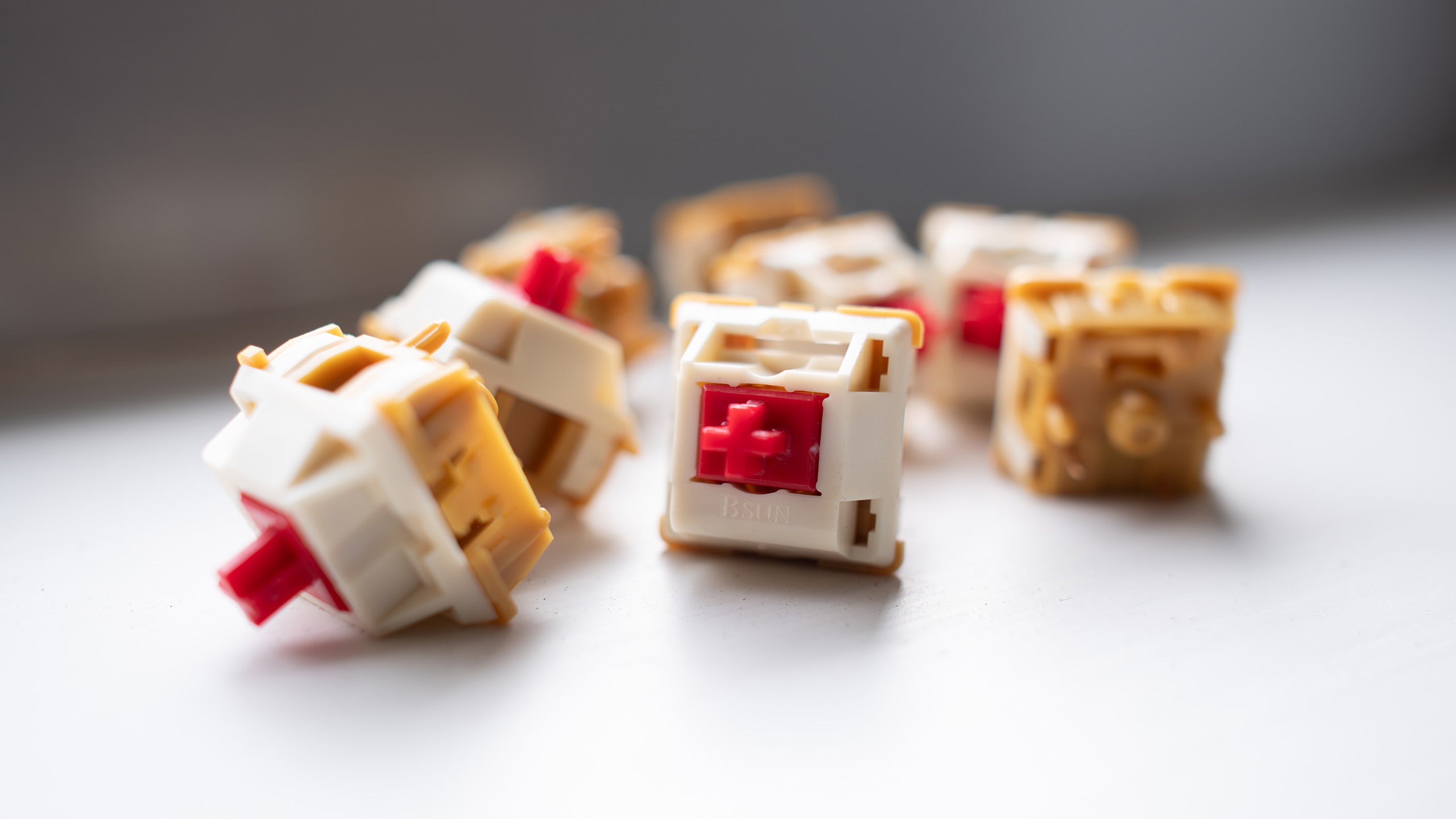 BSUN Strawberry Cheesecake