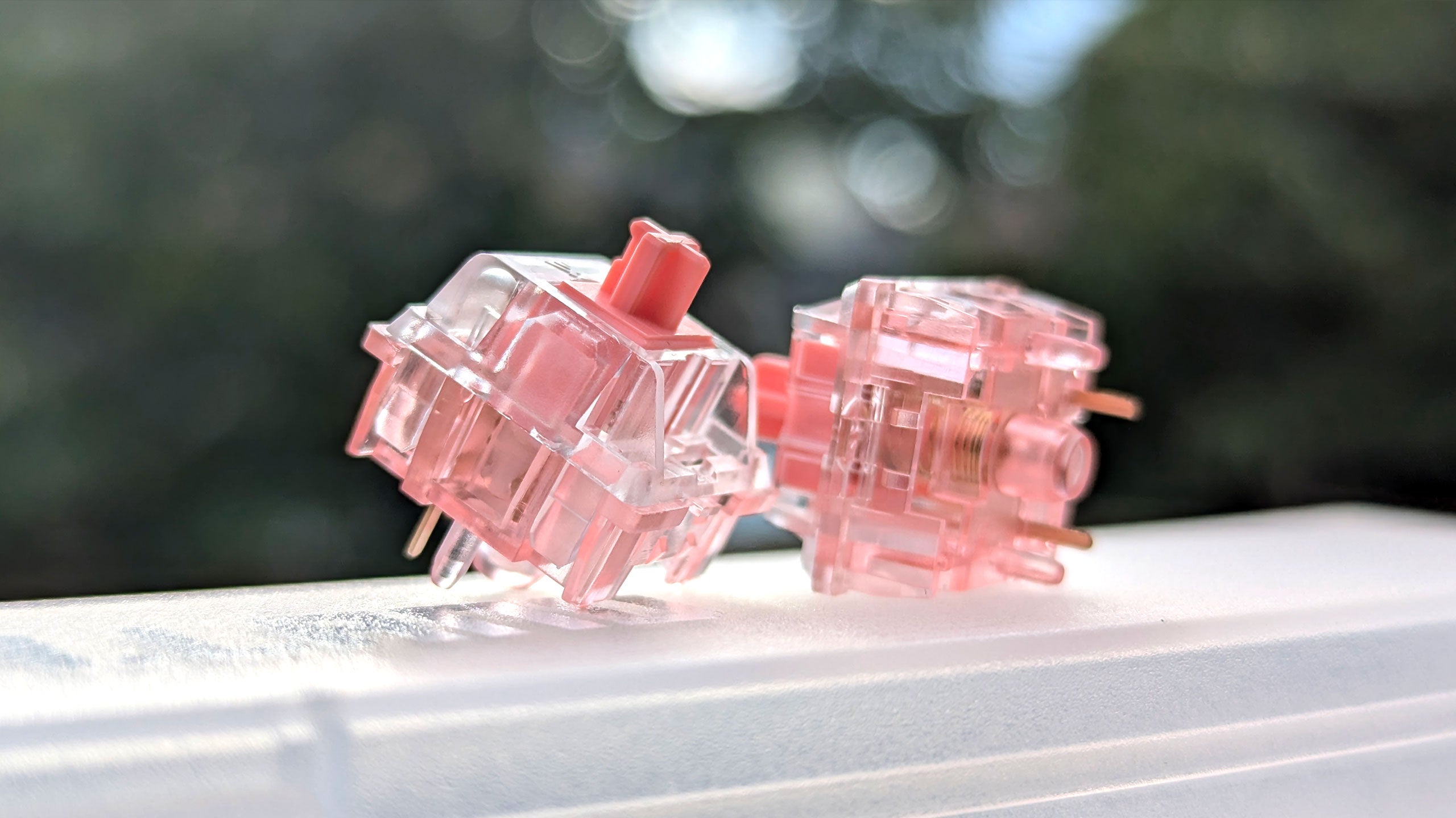 KTT Strawberry V2
