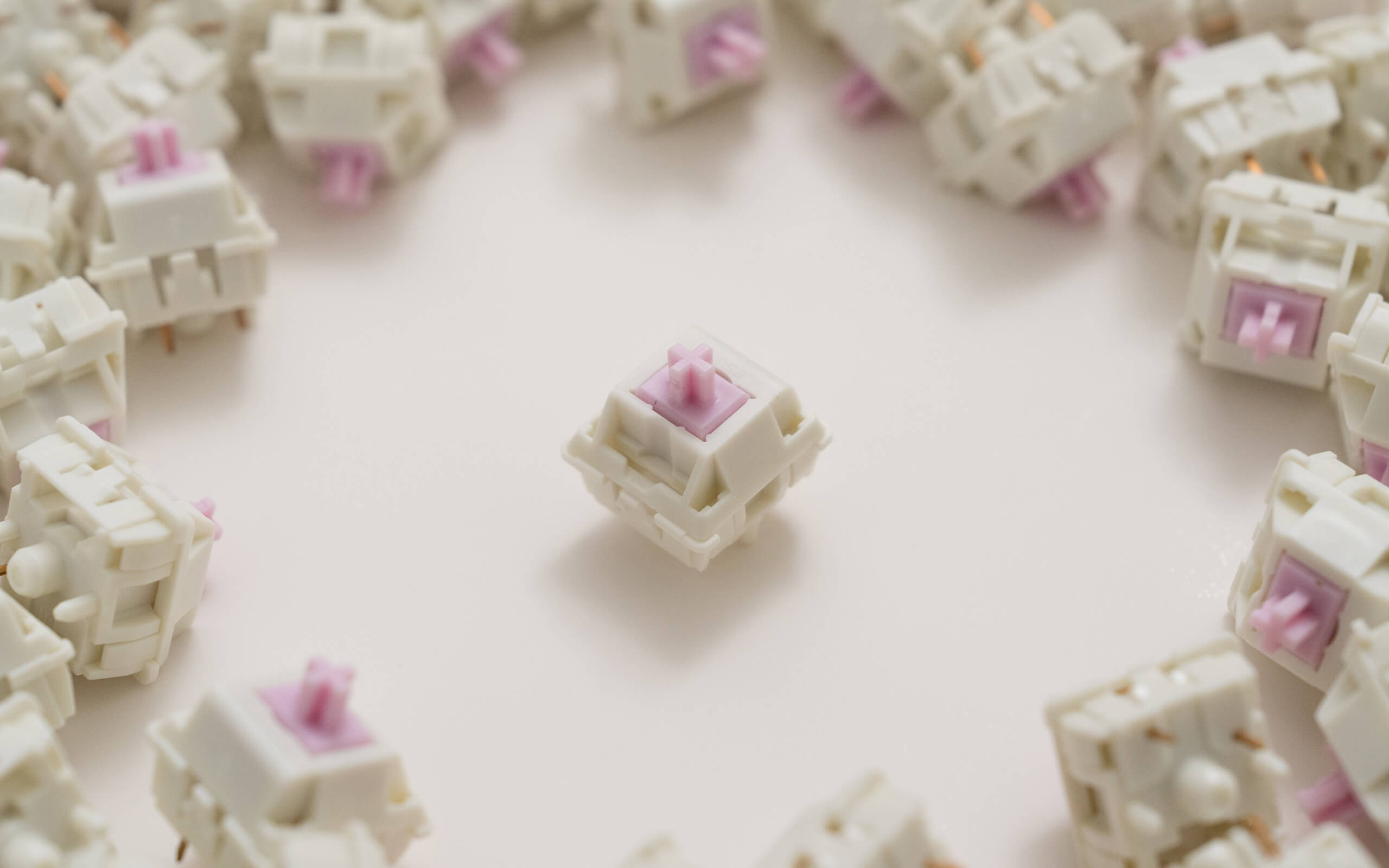 BSUN Bubble V2