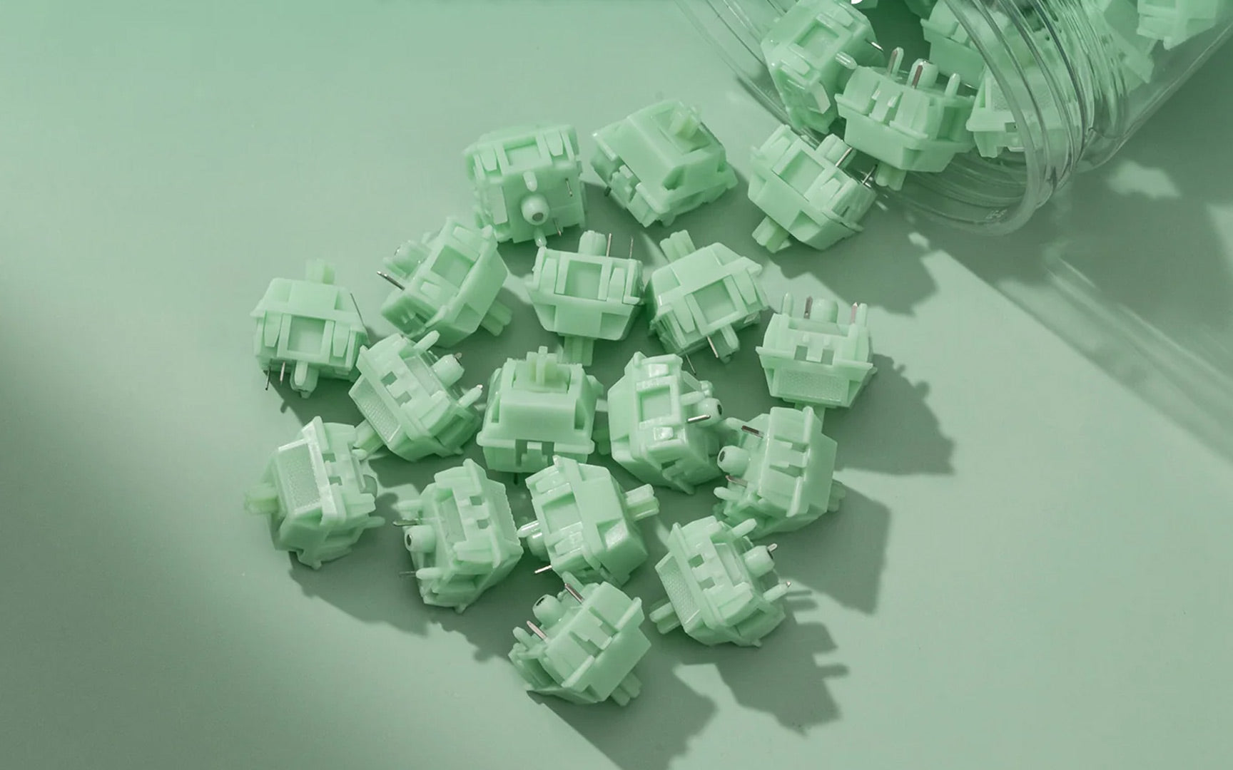 WS Jade