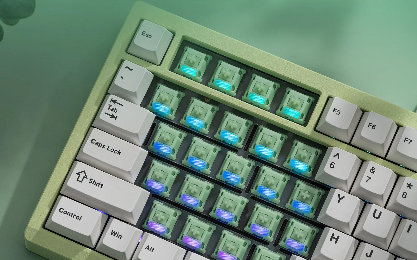 WS Jade