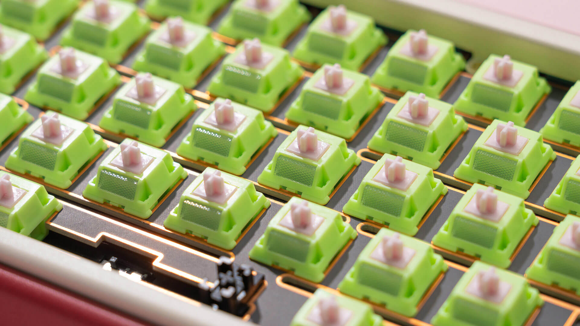Paw65 Switches