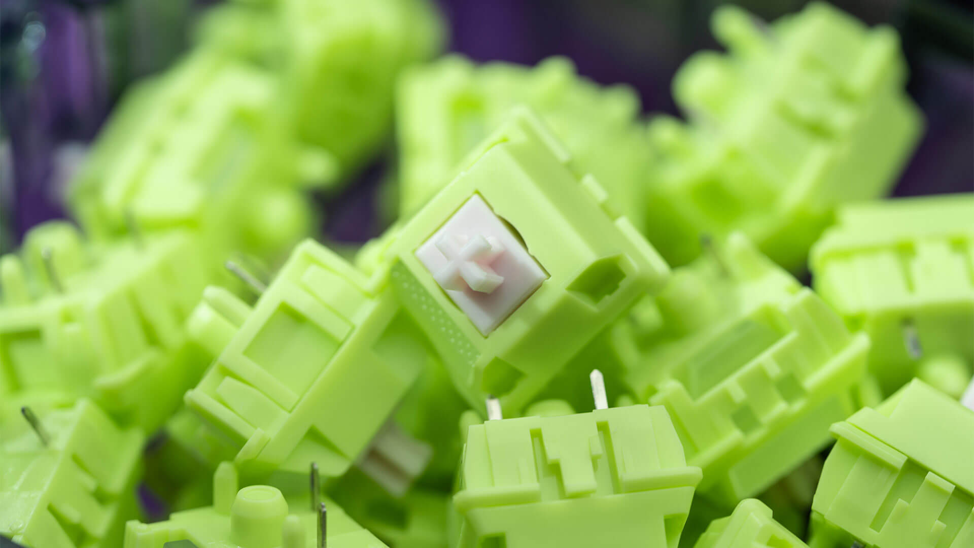Paw65 Switches