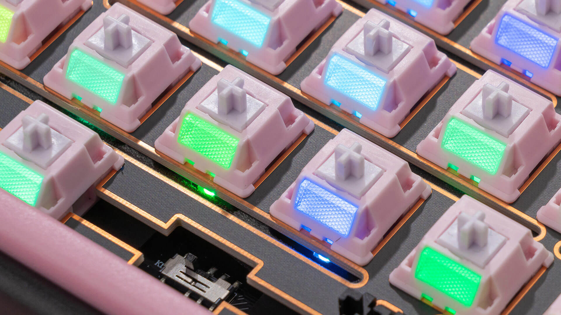 Paw65 Switches