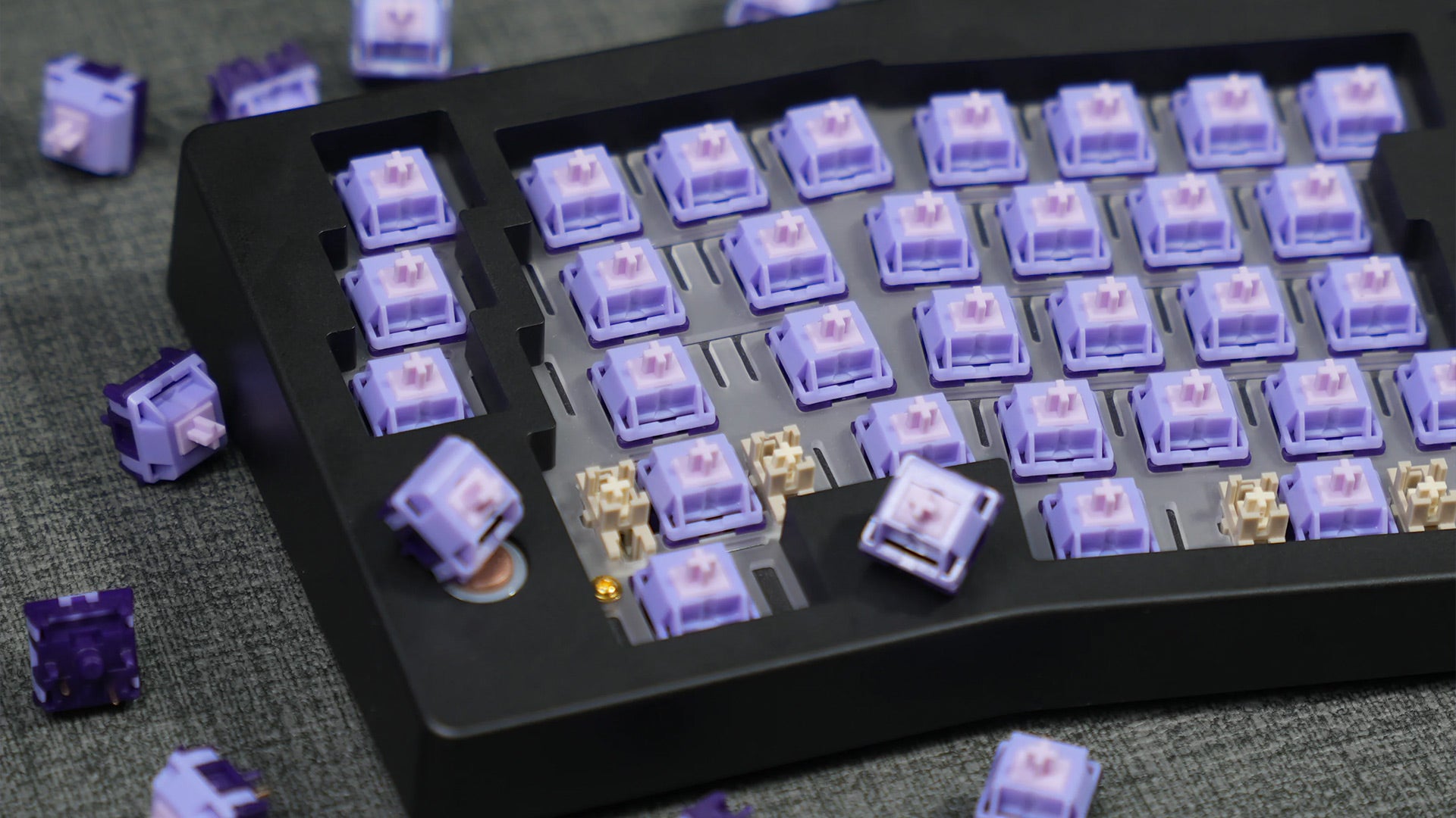 HMX Purple Tequila