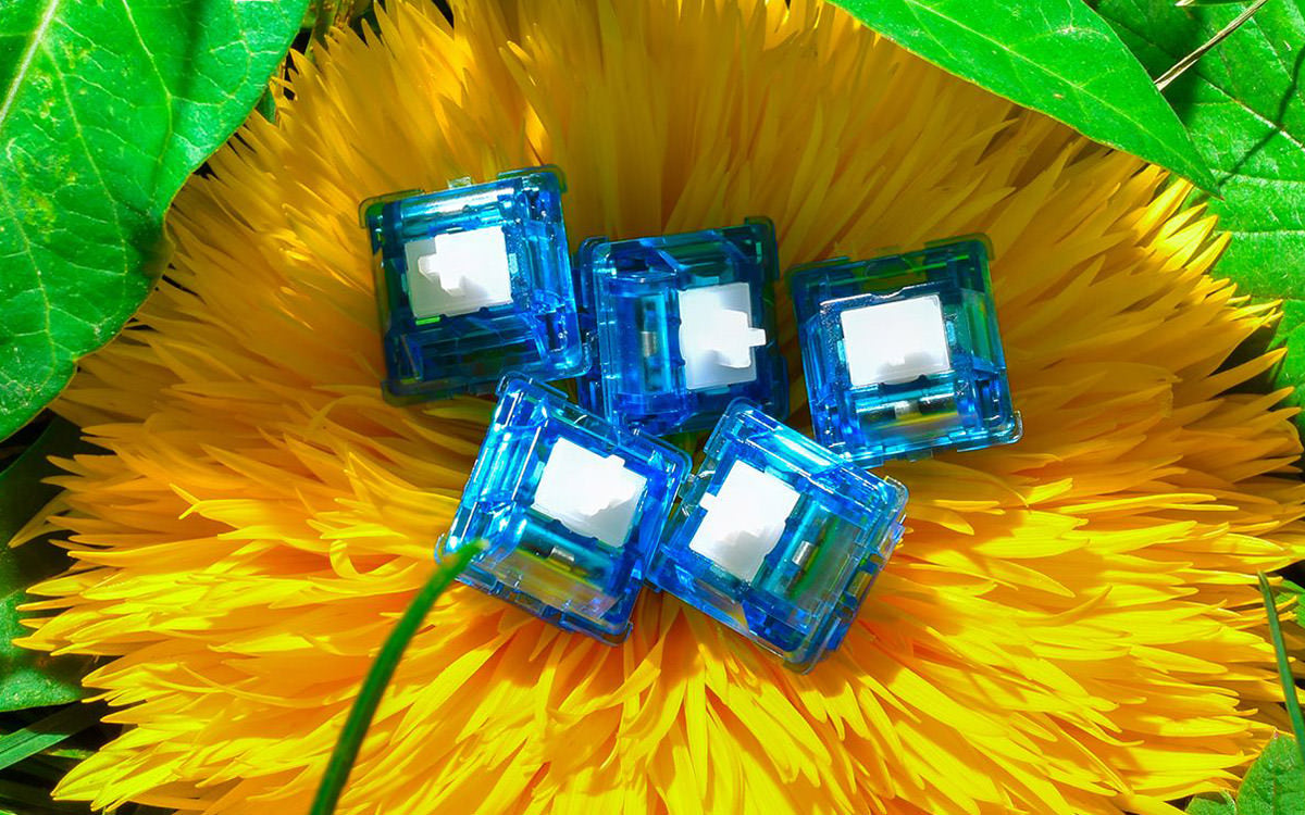 Original Aspiration (OA) Switch