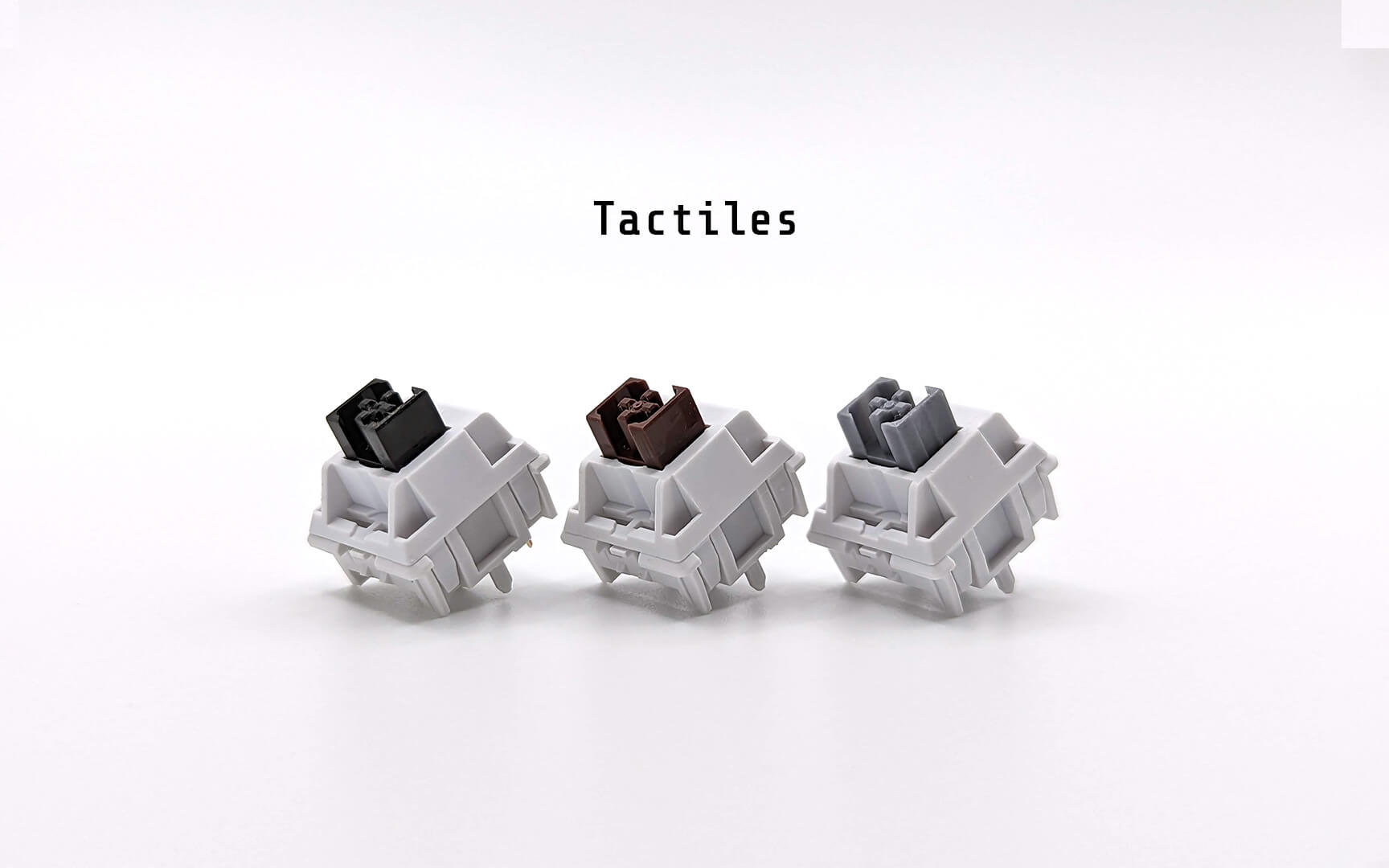 WS Switches