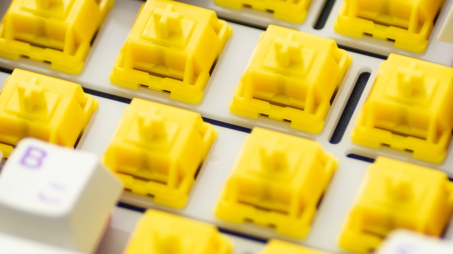 WS x HMX Arowana Switches