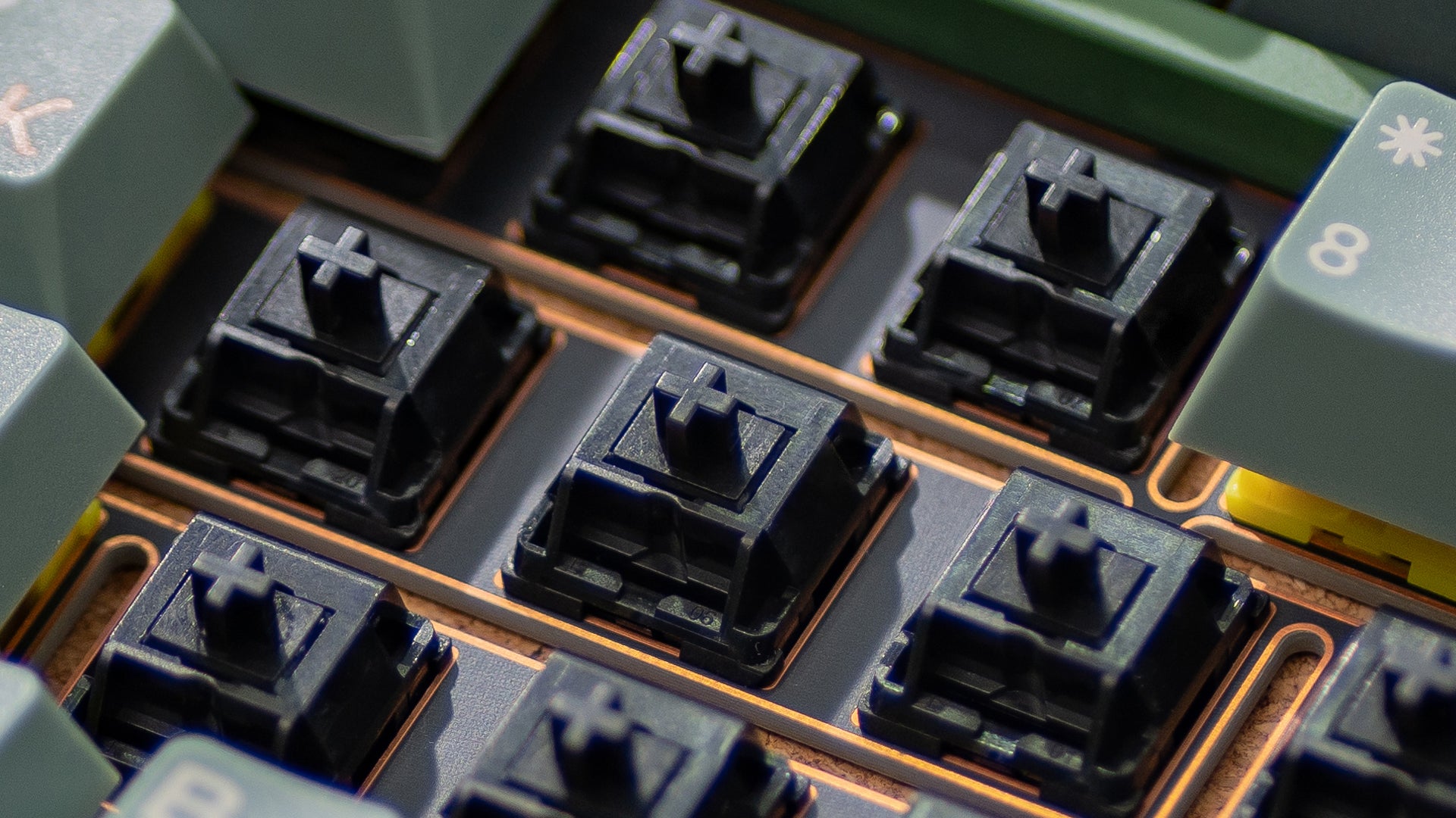 WS x HMX Arowana Switches