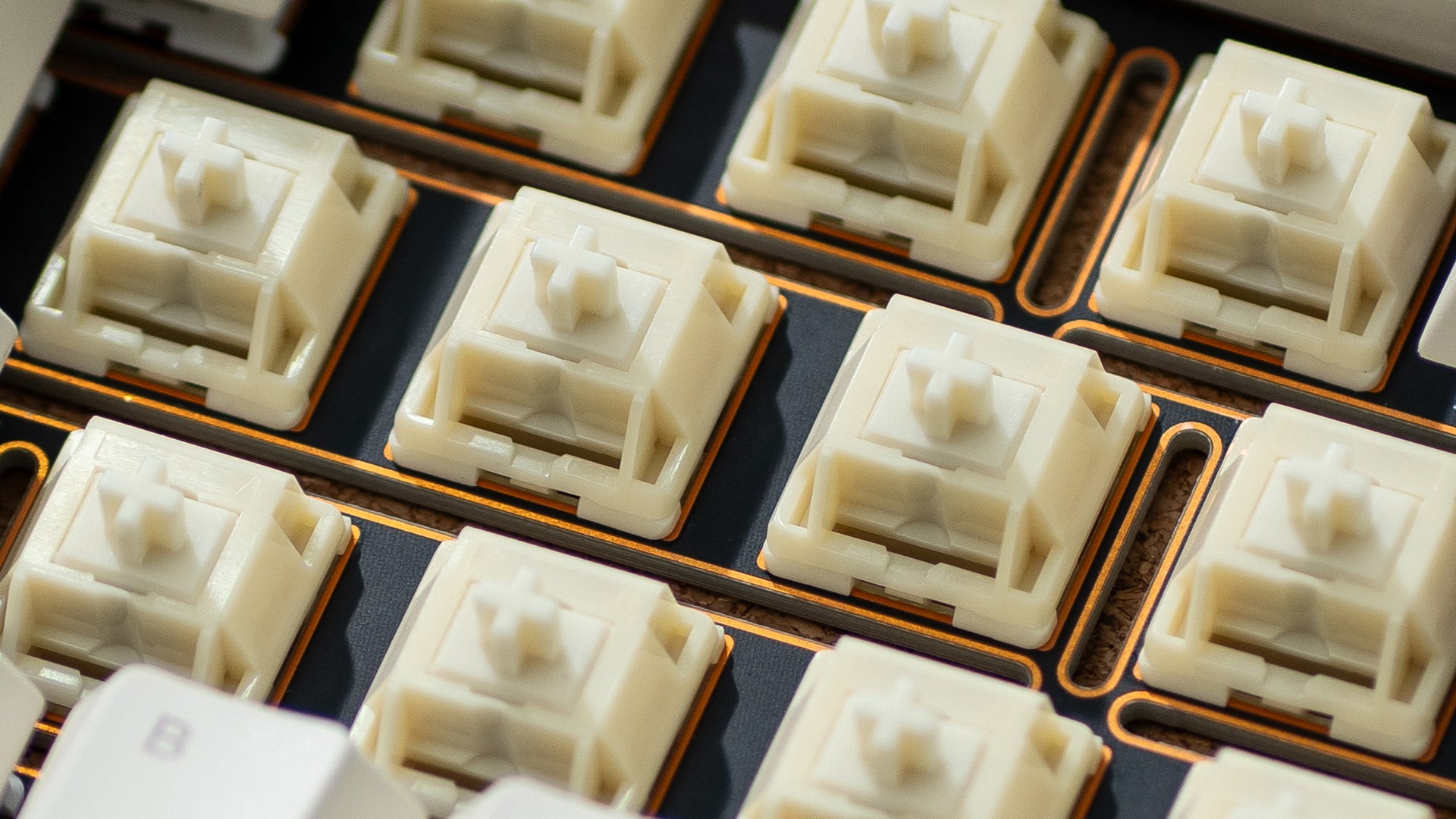 WS x HMX Arowana Switches