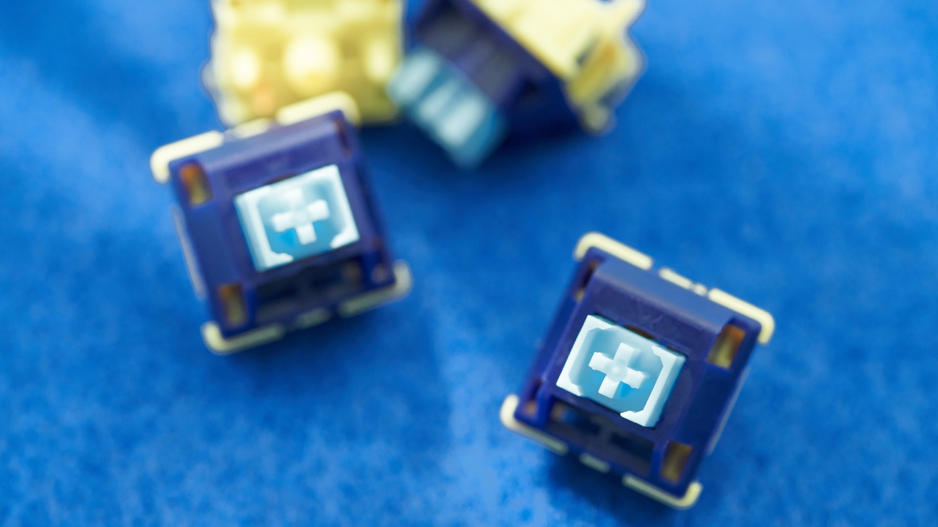 WS Stellar Switches [In Stock]