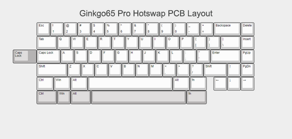 Ginkgo65 Pro [In Stock]