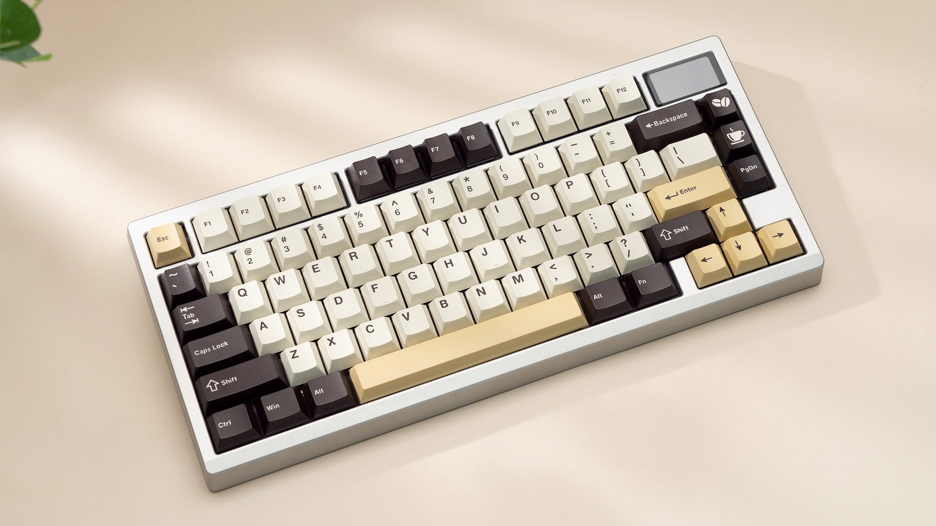 WS PBT Cafe [In Stock]