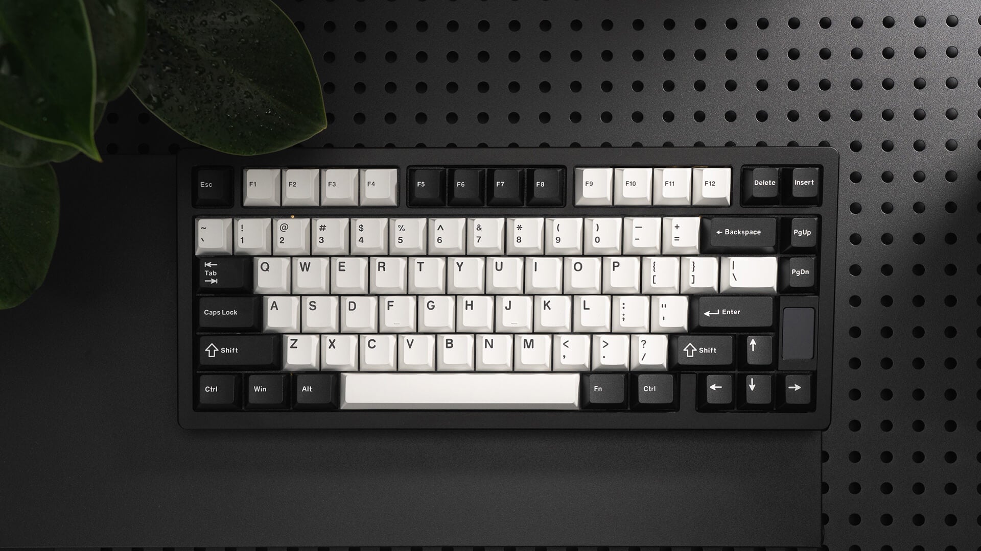 ND75 Keyboard [Pre-order]