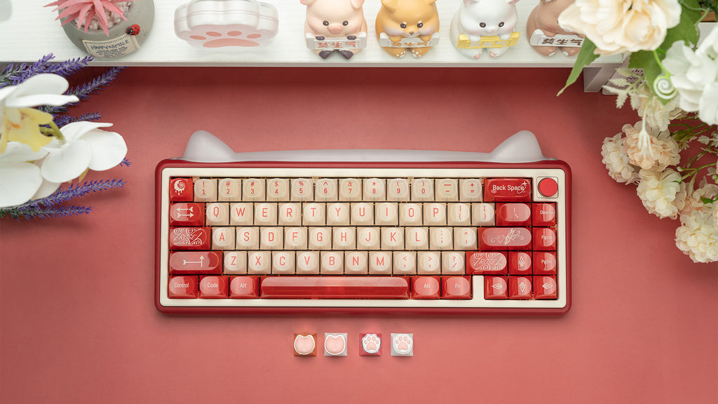 Paw65 - Assembled Edition [In Stock]