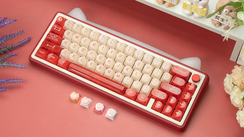 Paw65 - Assembled Edition [In Stock]