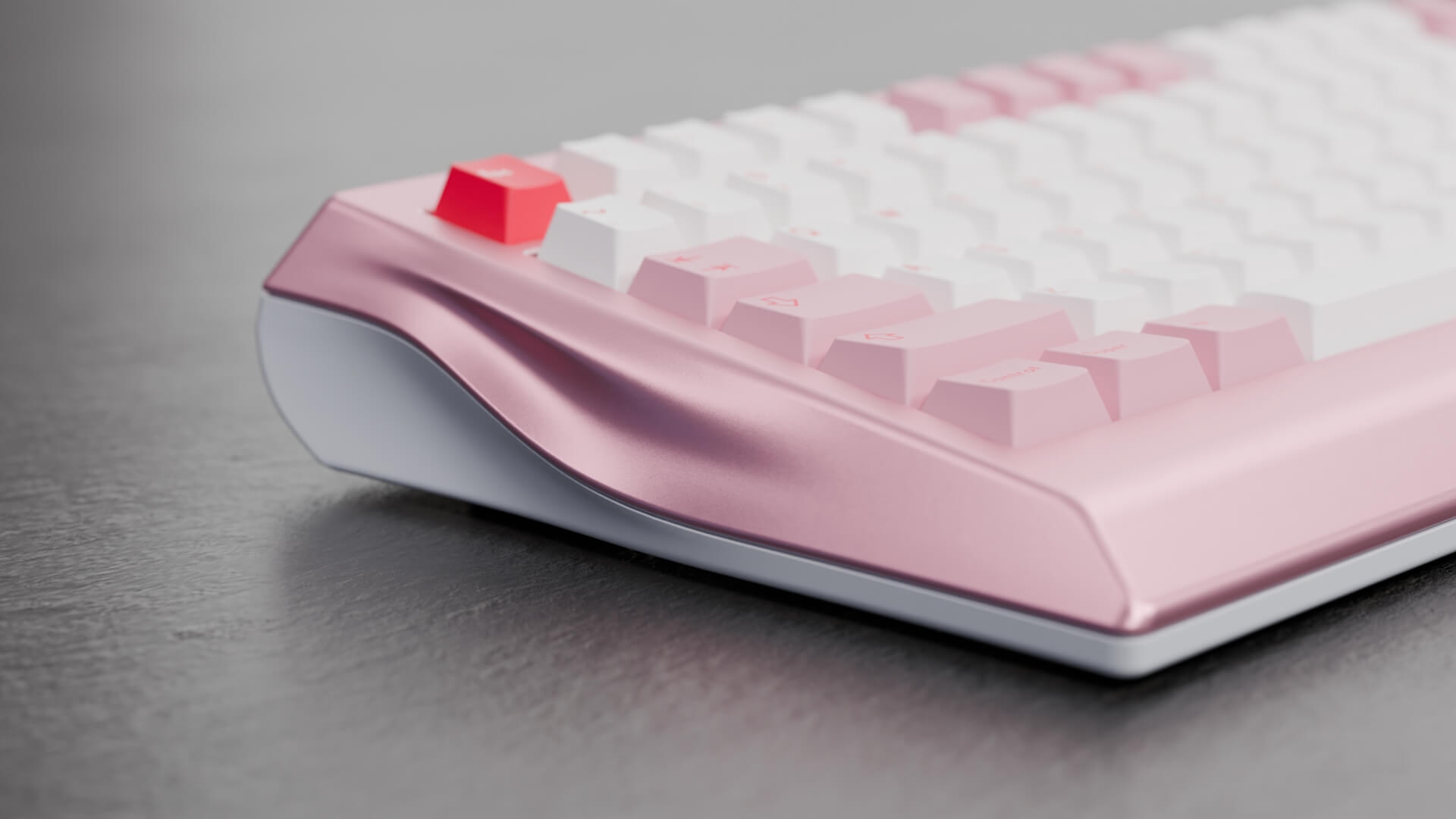 NAMA - Standard Edition [Group Buy]