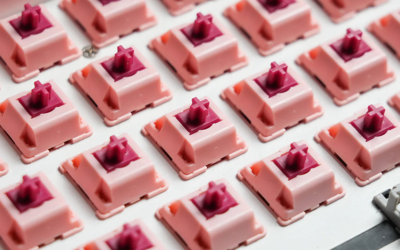 Strawberry Wine (Coming Soon) [In Stock]