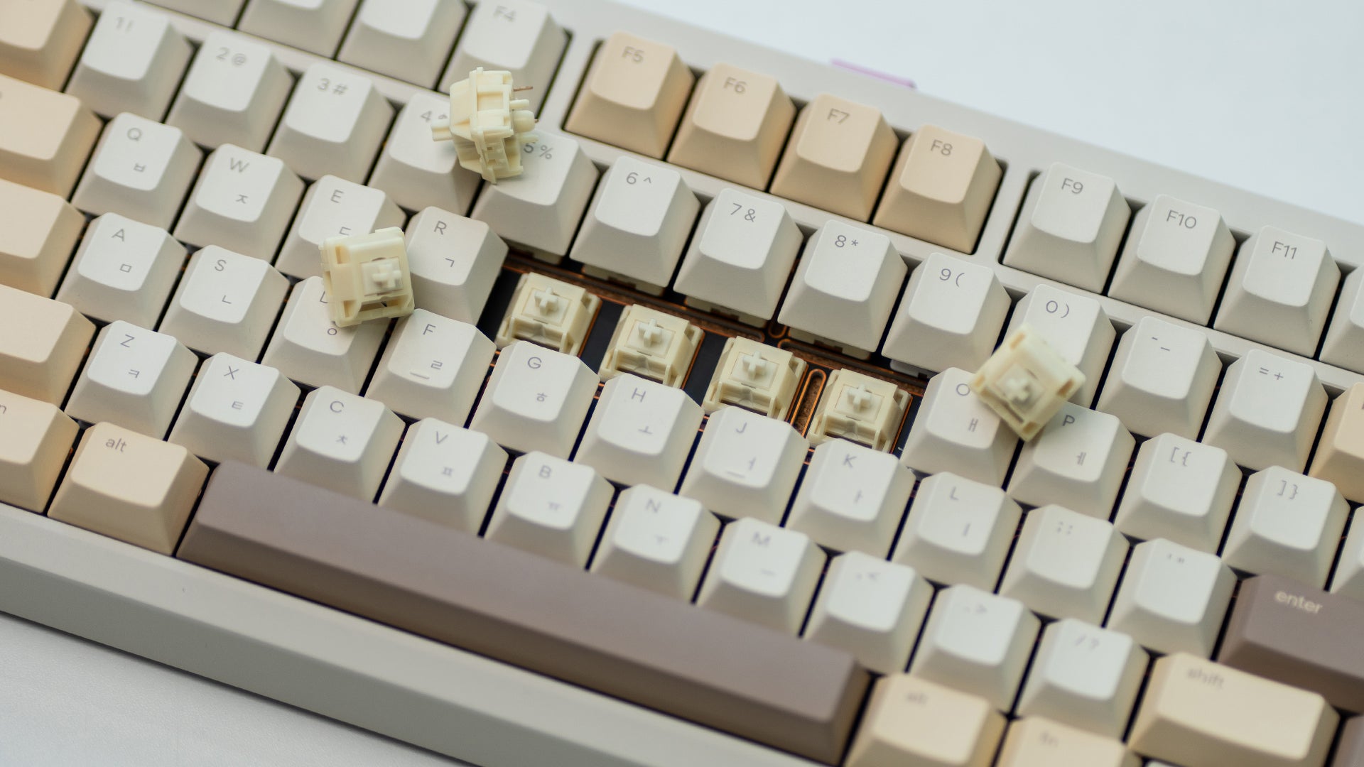 WS x HMX Arowana Switches