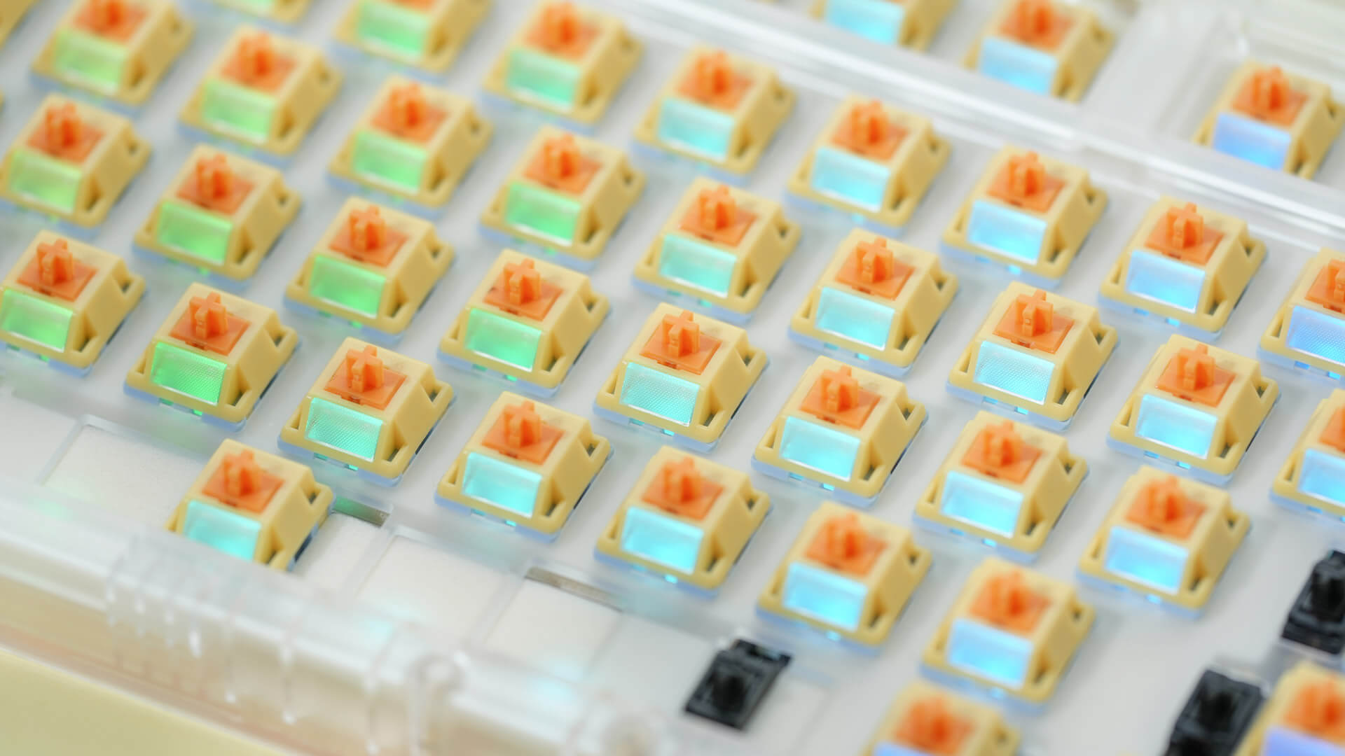 HMX Lulu Silent [Restocking mid-January]