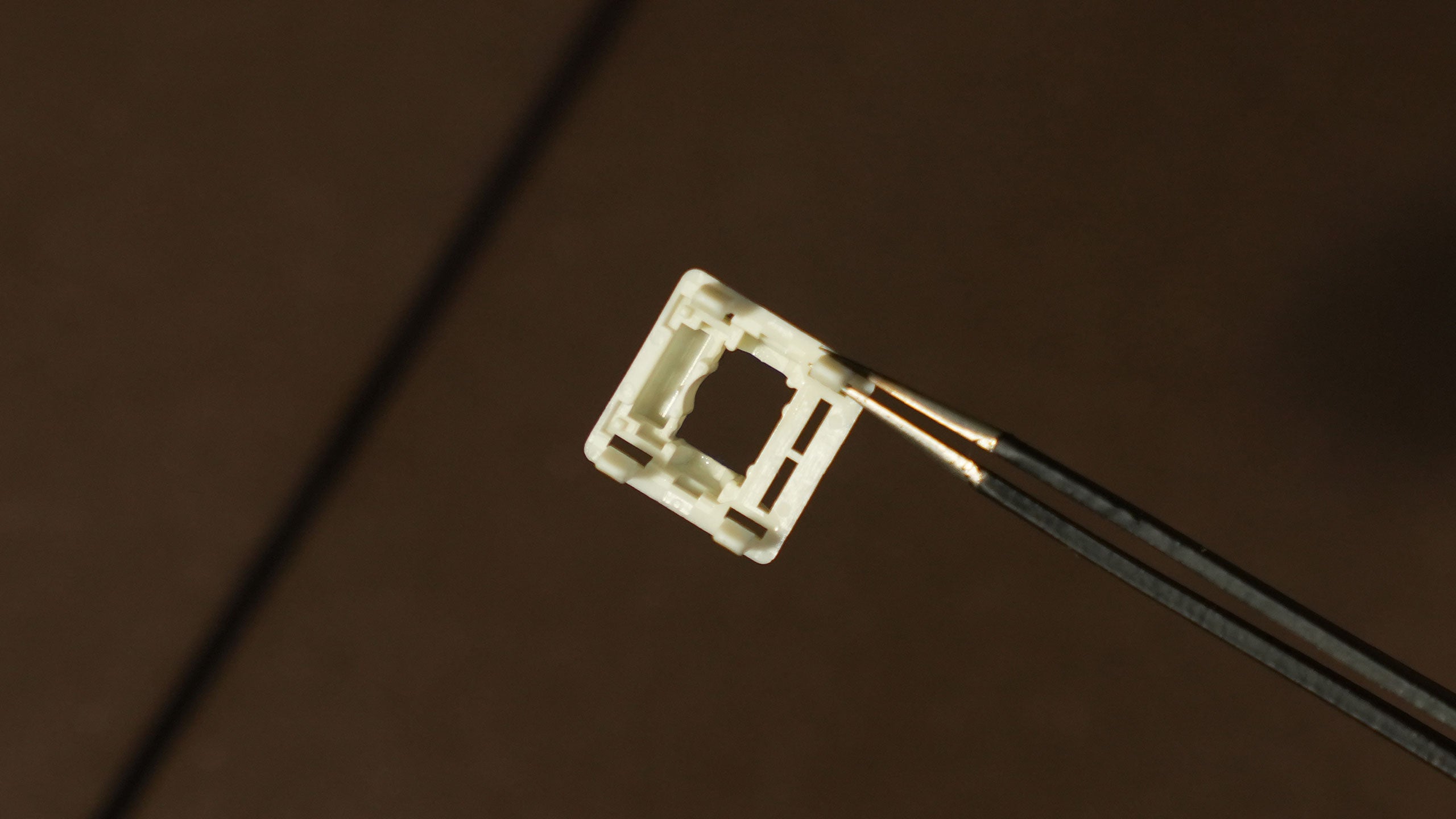 Wingtree Pure Tea [Pre-order]