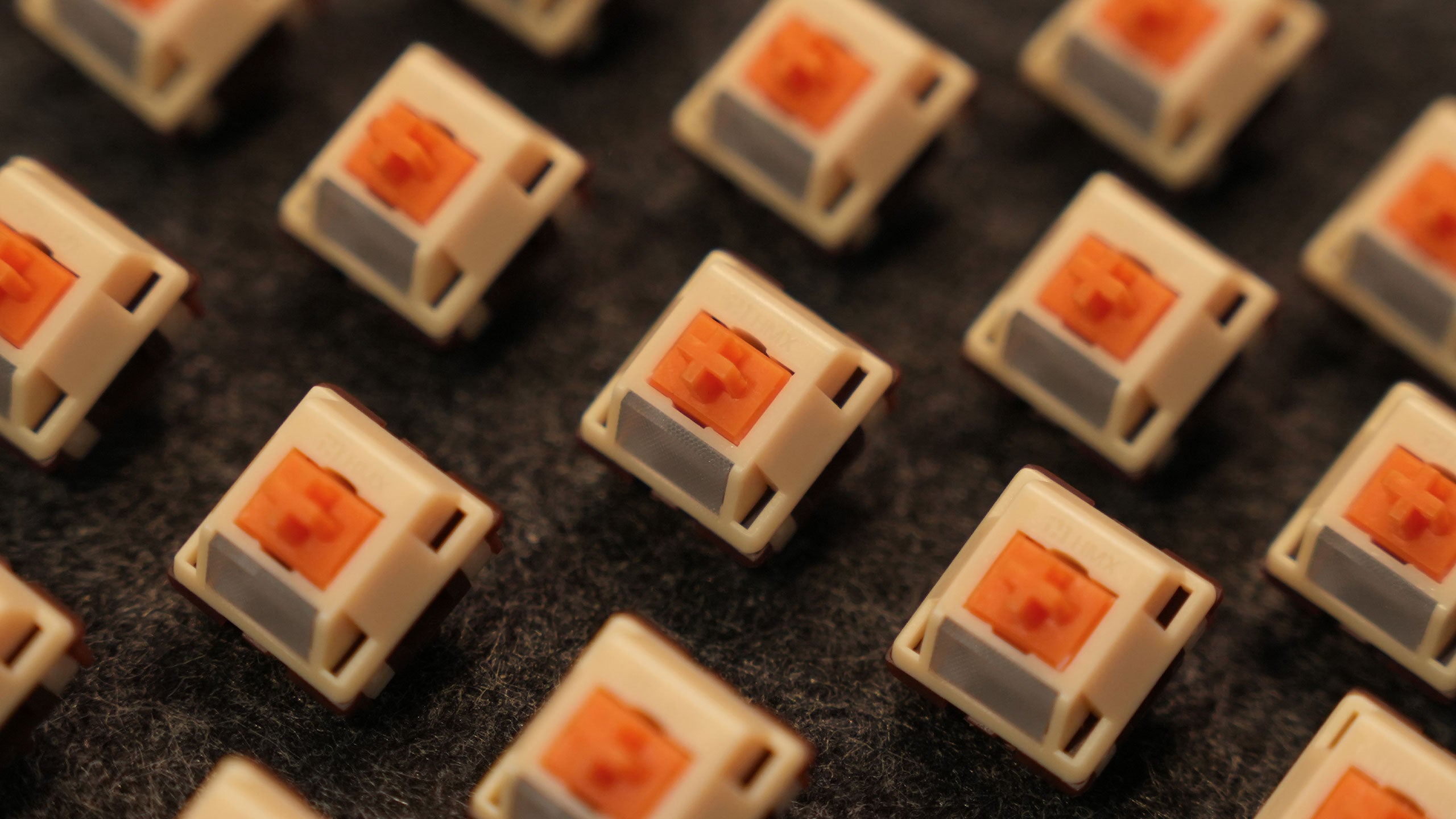 HMX Puppy [Pre-order]