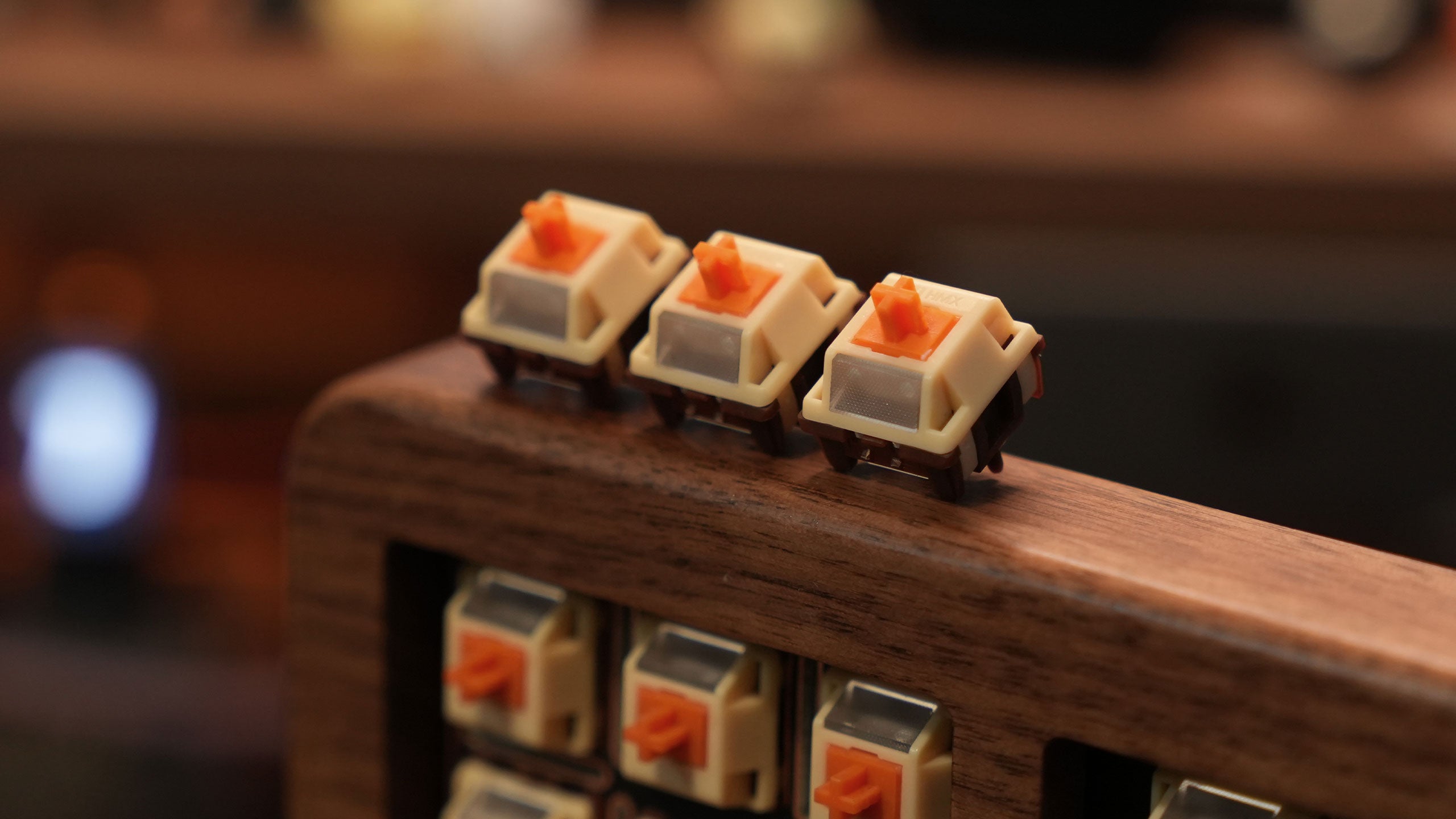 HMX Puppy [Pre-order]