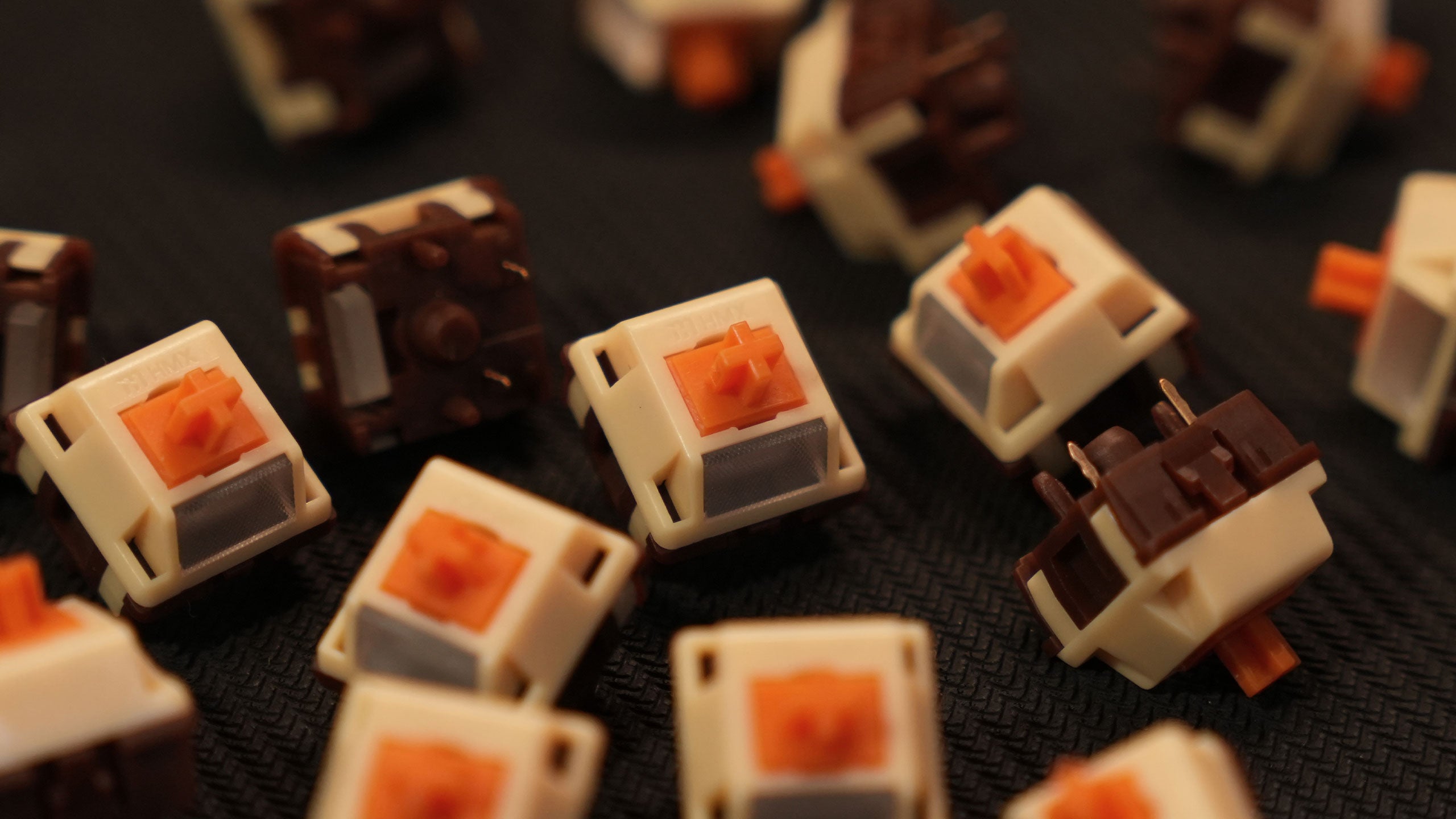 HMX Puppy [Pre-order]