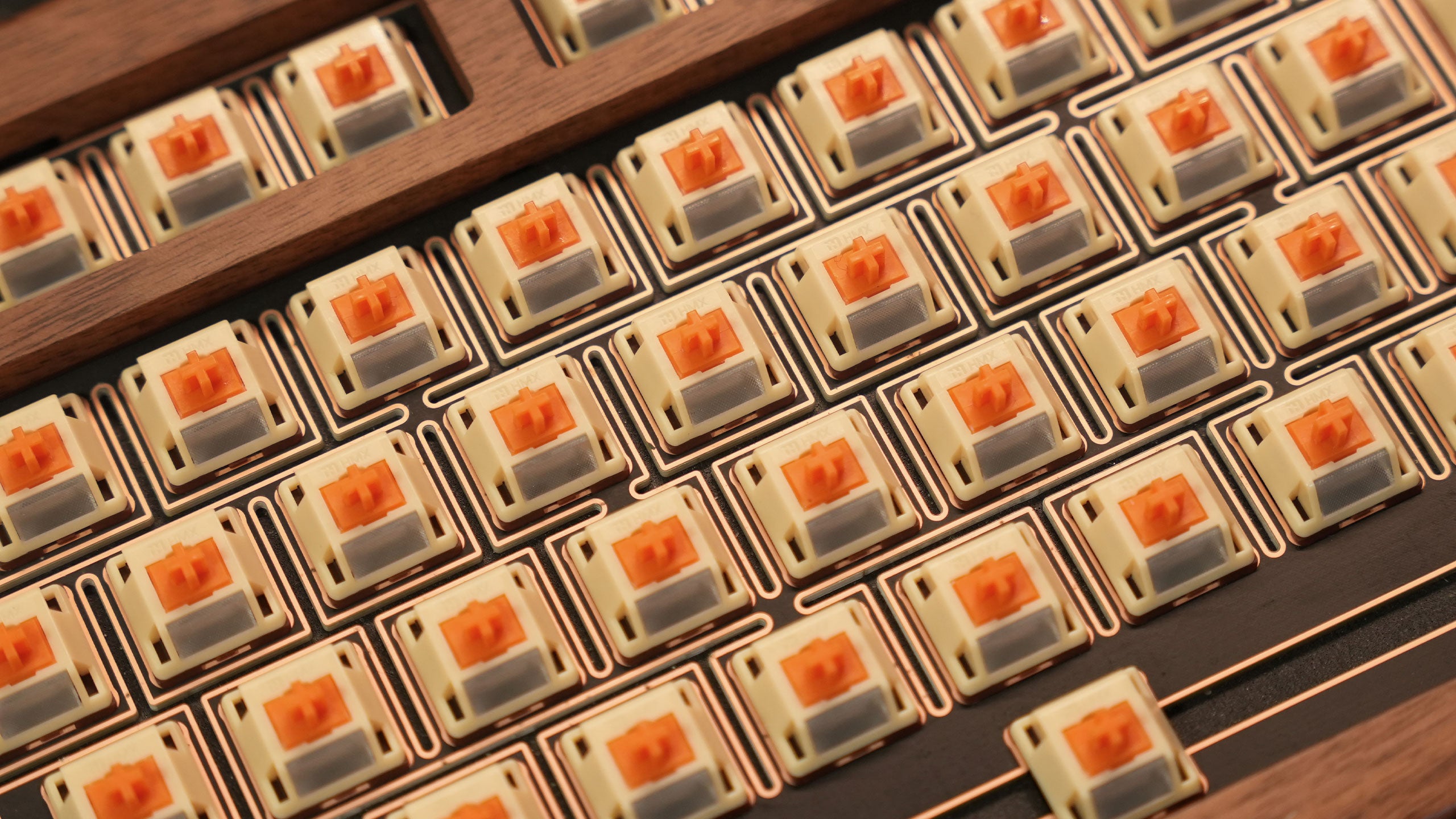 HMX Puppy [Pre-order]