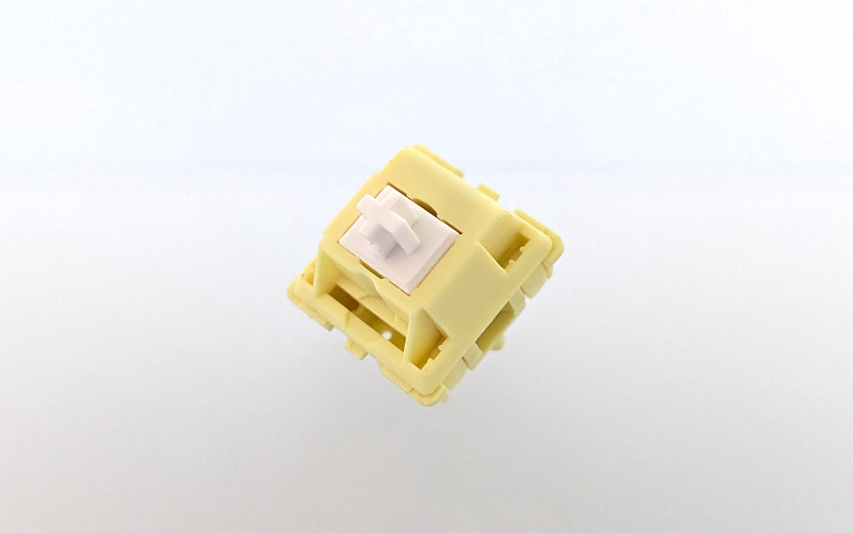 JWK Molly Linear