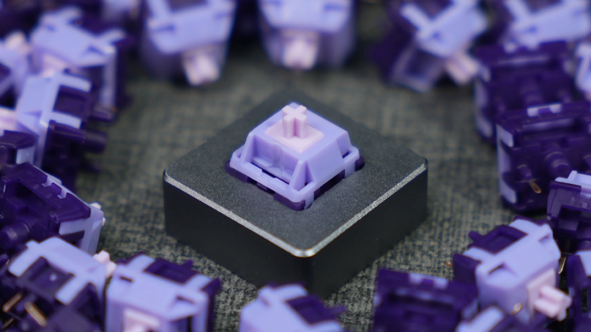HMX Purple Tequila [In stock]