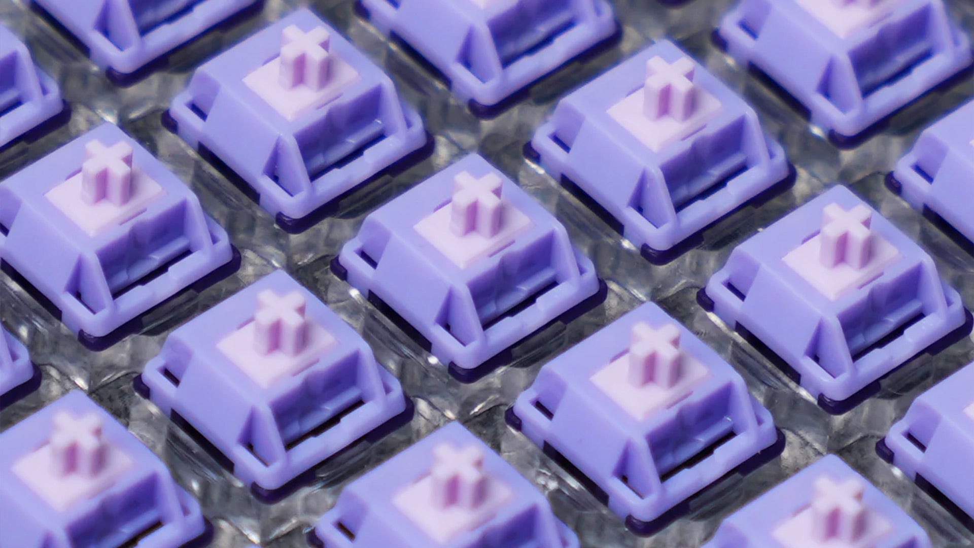 HMX Purple Tequila [In stock]