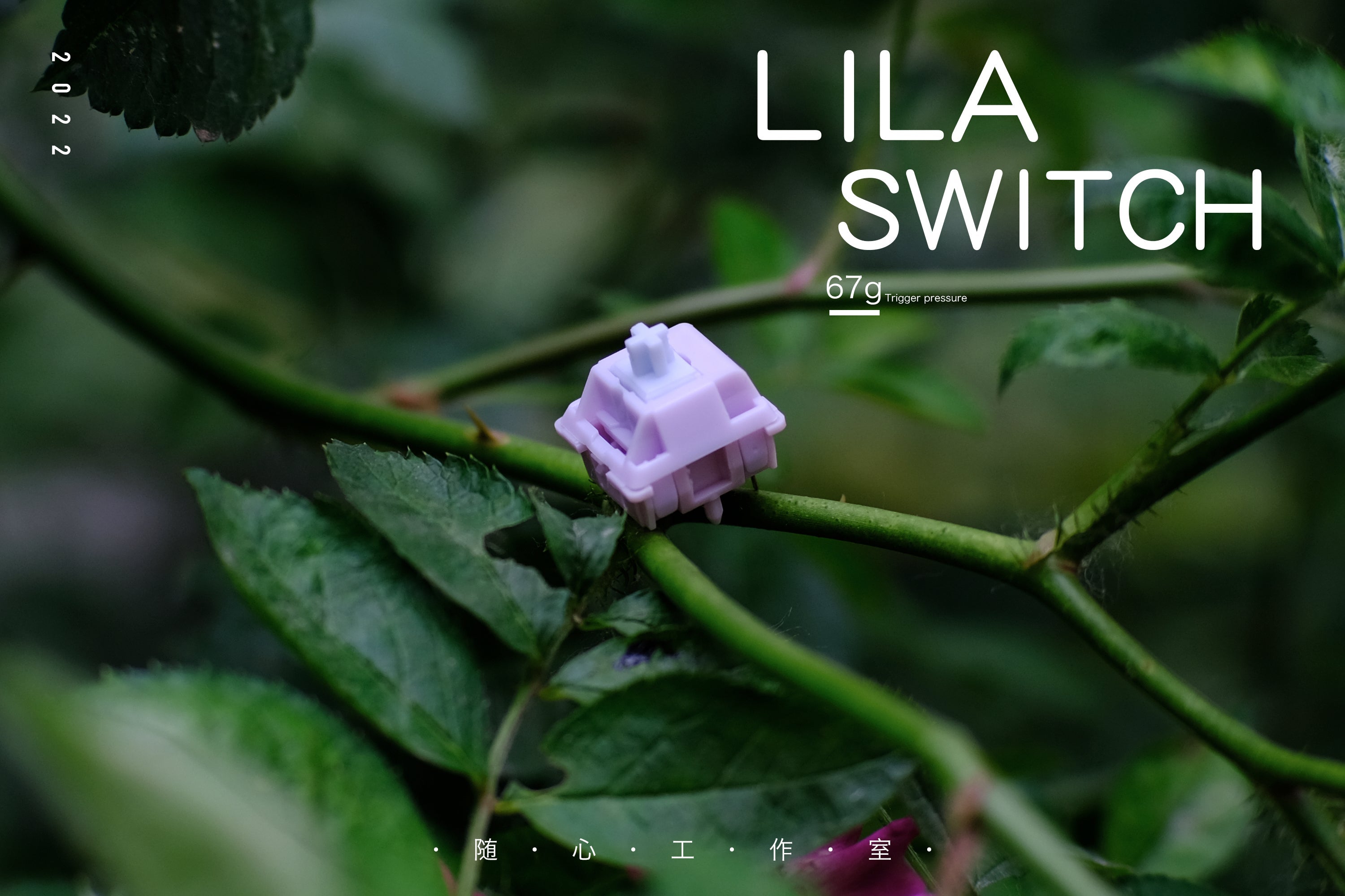 JWK Lila Switch [In Stock]