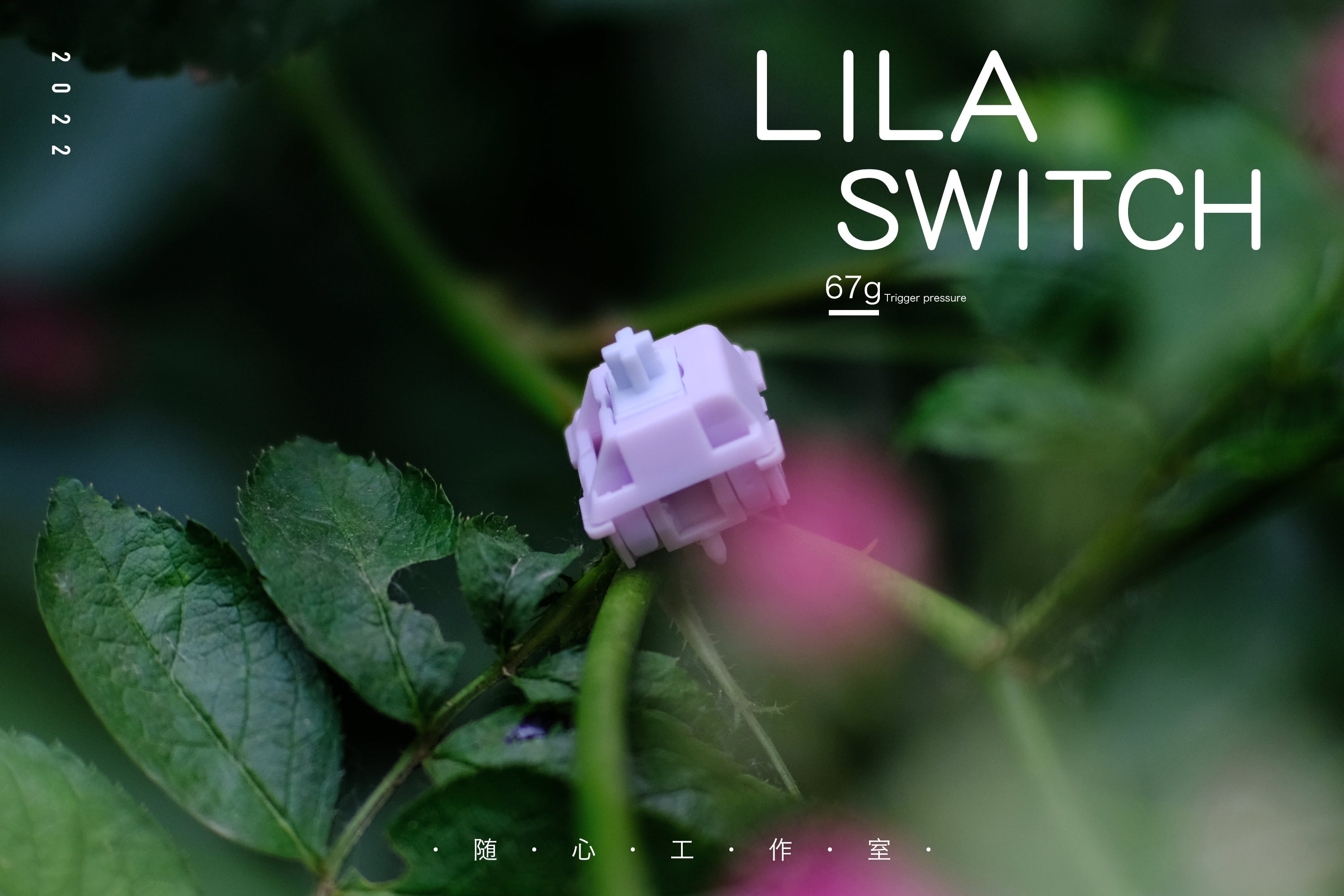 JWK Lila Switch [In Stock]