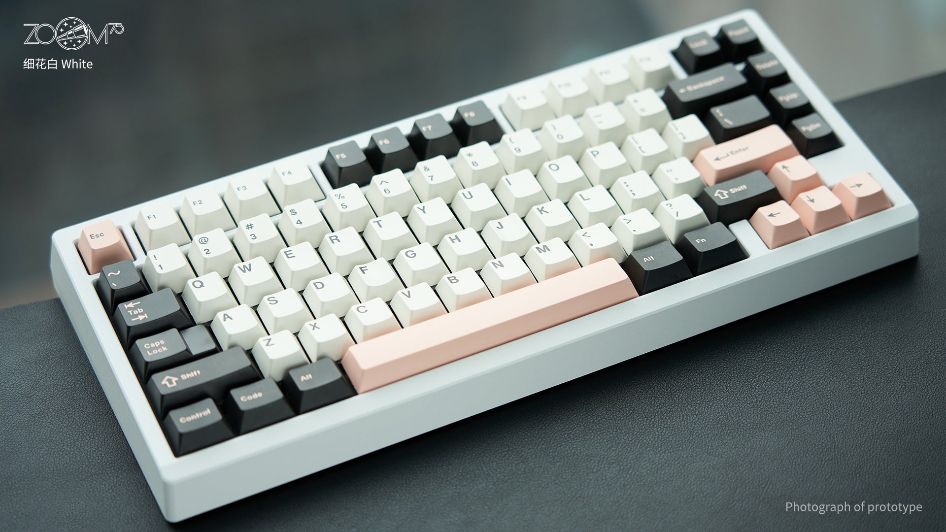 Zoom75 EE - White (June 24) [Pre-order]