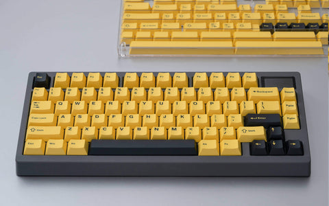 WS Basic Yellow (Double-shot) [In stock]