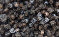 Gateron Box Ink V2 (Black) [In-stock]