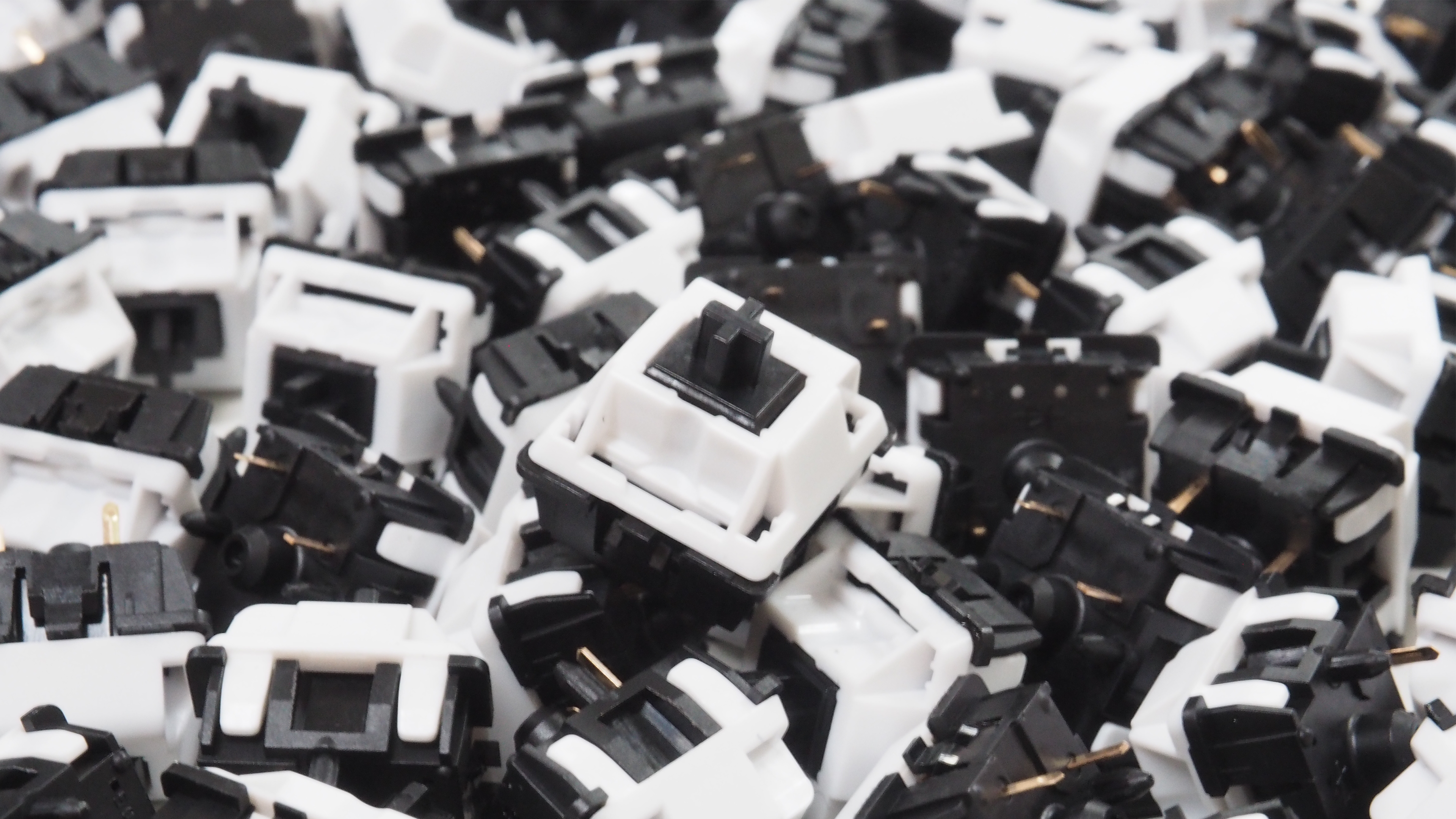 Zoom65 - Olivia Edition [In Stock]