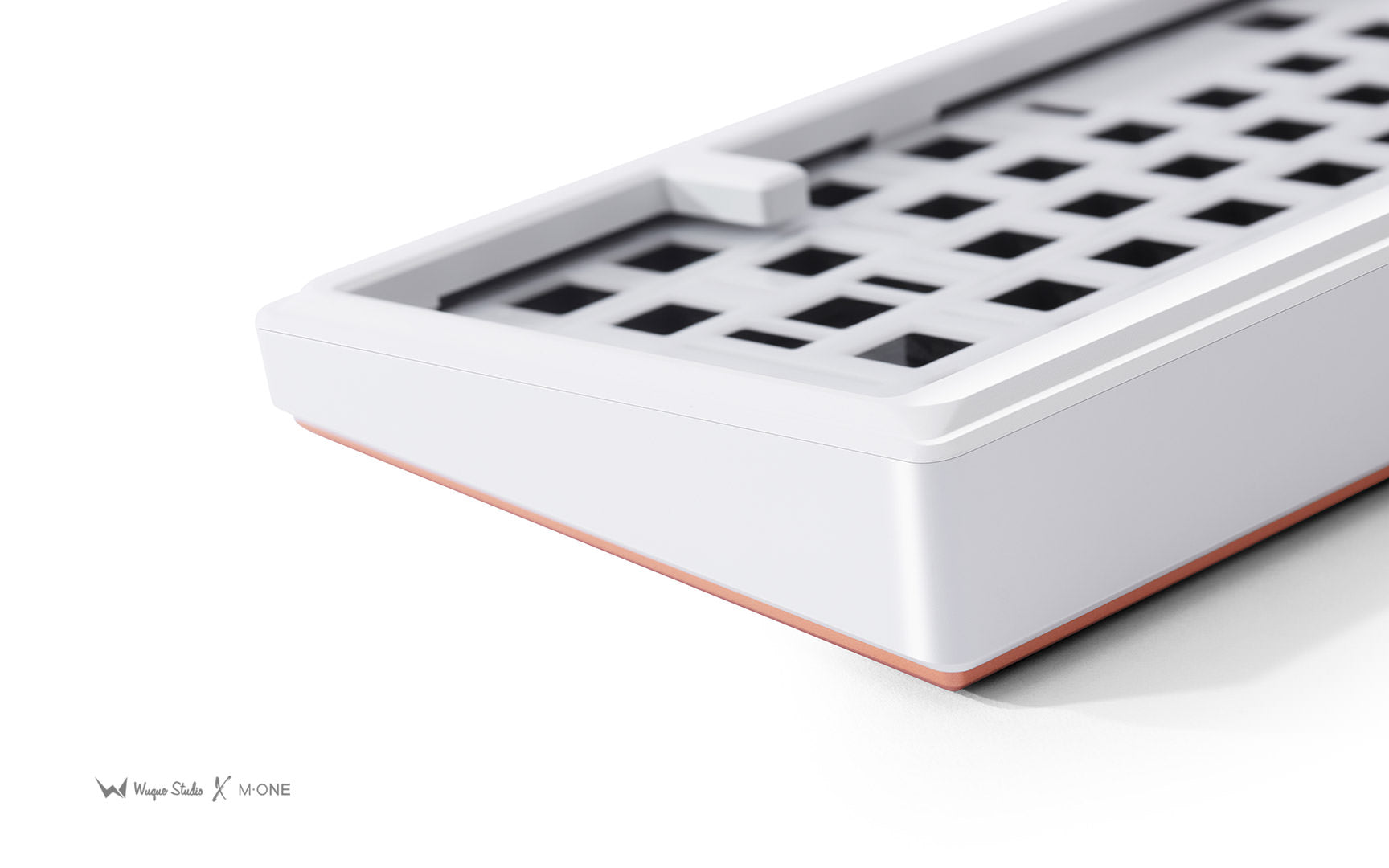 Ginkgo65 [In Stock]