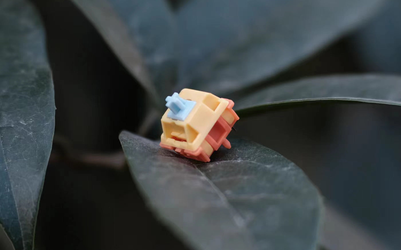 Autumn Rain Switch [Extras]