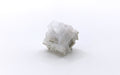 CLEARENCE - WS Switches: Aurora Series [In Stock]