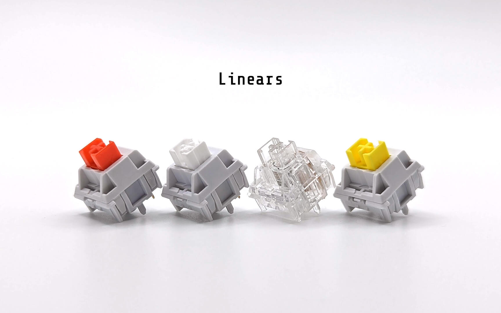 WS Switches [In Stock]