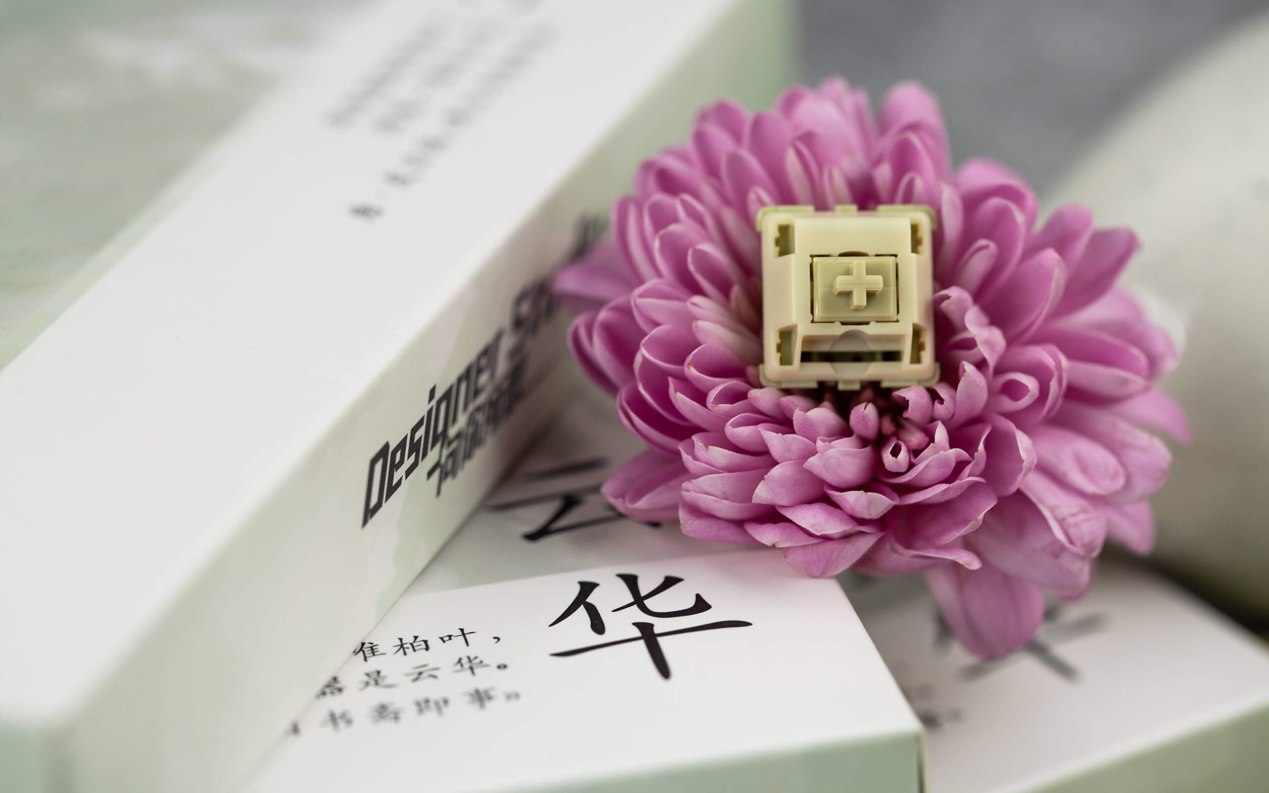 Designer Studio Yunhua - Thumbnail 2